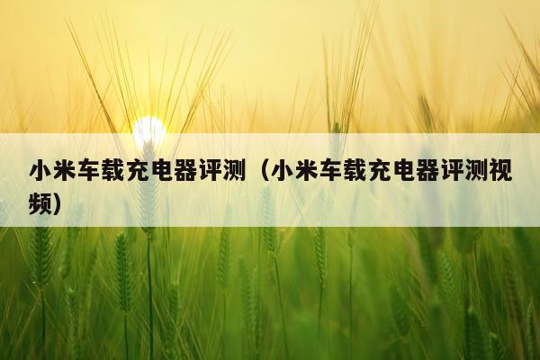 小米车载充电器评测（小米车载充电器评测视频）