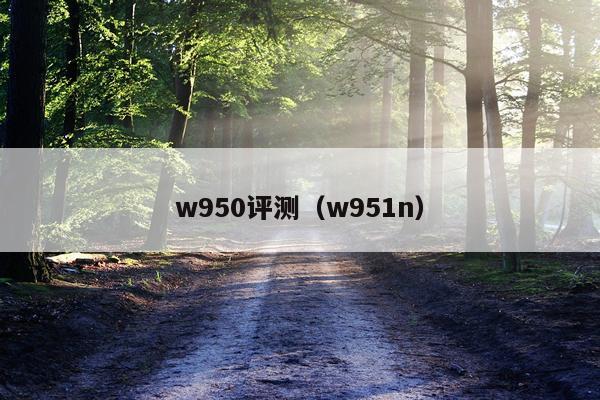 w950评测（w951n）