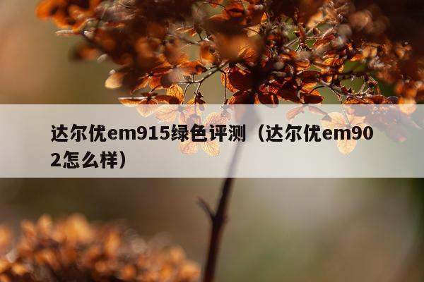 达尔优em915绿色评测（达尔优em902怎么样）