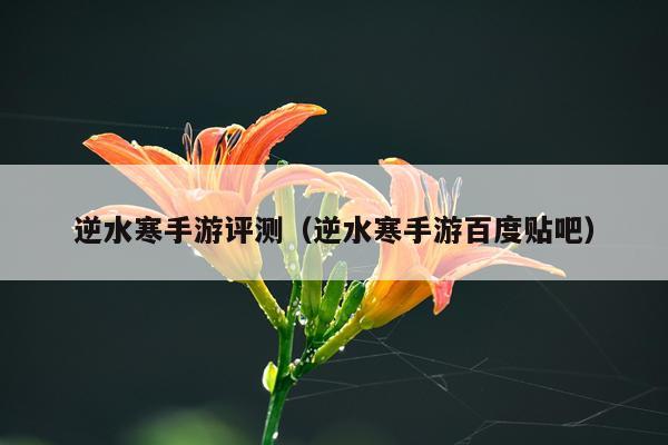 逆水寒手游评测（逆水寒手游百度贴吧）