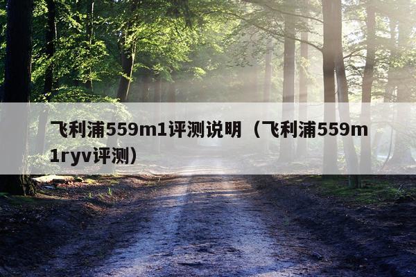 飞利浦559m1评测说明（飞利浦559m1ryv评测）