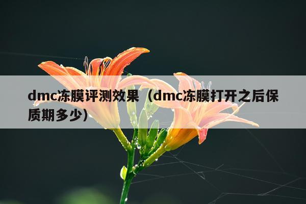 dmc冻膜评测效果（dmc冻膜打开之后保质期多少）