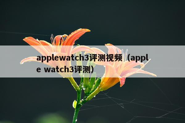 applewatch3评测视频（apple watch3评测）