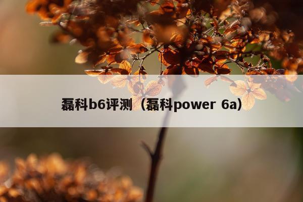 磊科b6评测（磊科power 6a）