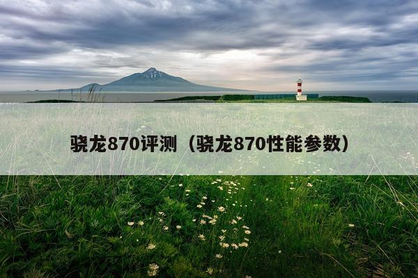 骁龙870评测（骁龙870性能参数）