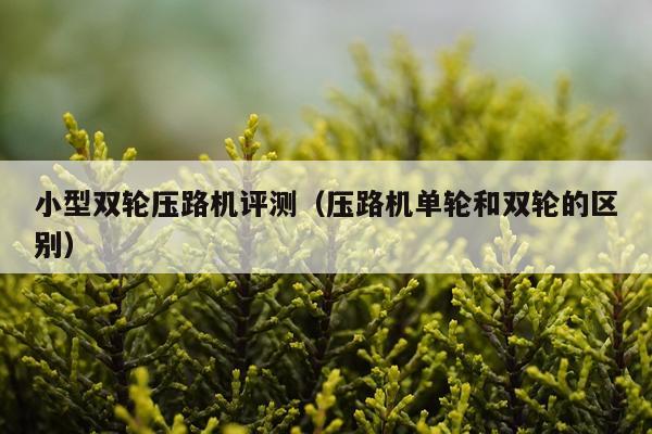 小型双轮压路机评测（压路机单轮和双轮的区别）