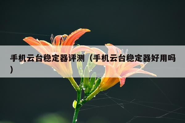 手机云台稳定器评测（手机云台稳定器好用吗）