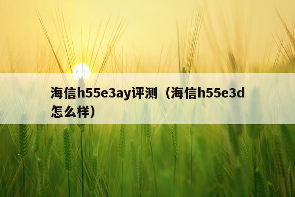 海信h55e3ay评测（海信h55e3d怎么样）