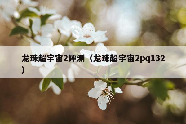 龙珠超宇宙2评测（龙珠超宇宙2pq132）