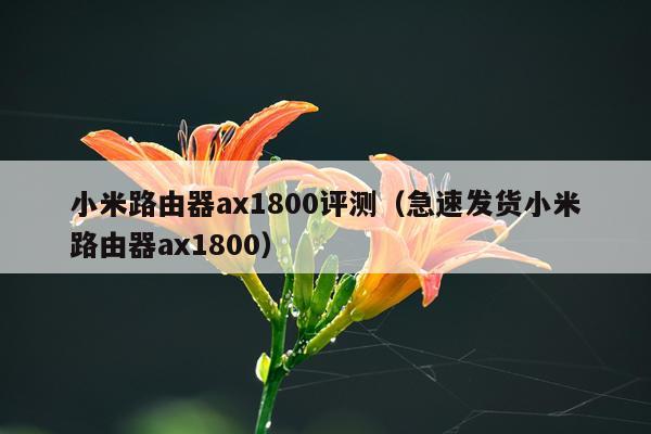 小米路由器ax1800评测（急速发货小米路由器ax1800）