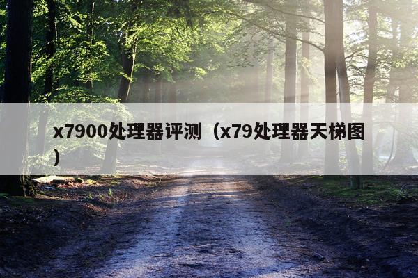 x7900处理器评测（x79处理器天梯图）