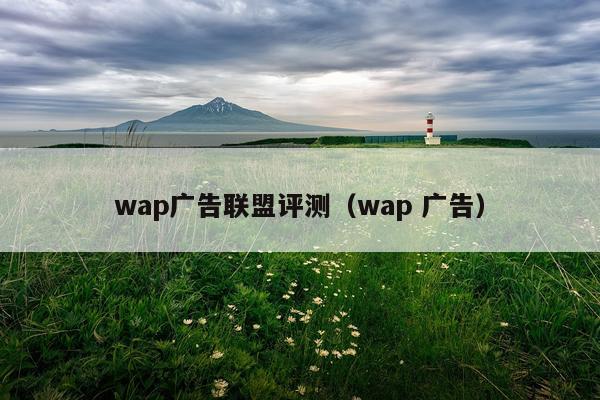 wap广告联盟评测（wap 广告）