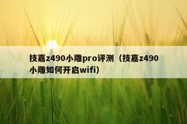 技嘉z490小雕pro评测（技嘉z490小雕如何开启wifi）