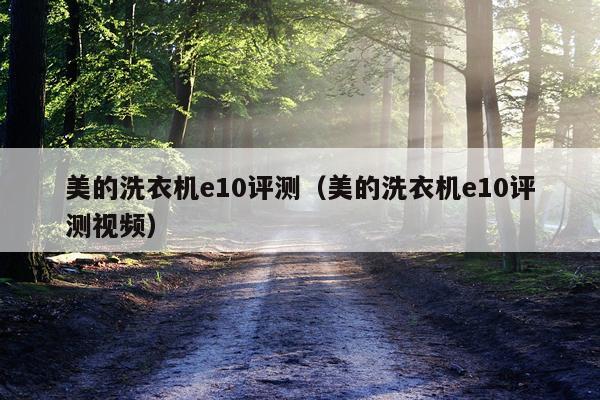 美的洗衣机e10评测（美的洗衣机e10评测视频）