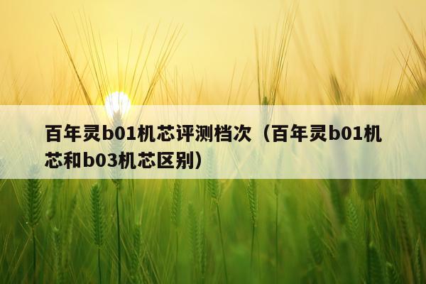 百年灵b01机芯评测档次（百年灵b01机芯和b03机芯区别）