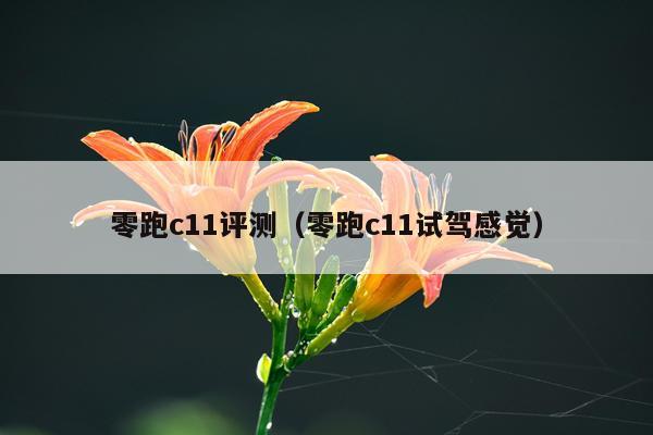 零跑c11评测（零跑c11试驾感觉）
