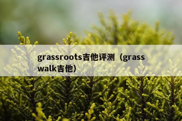 grassroots吉他评测（grasswalk吉他）