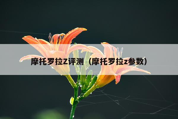 摩托罗拉Z评测（摩托罗拉z参数）