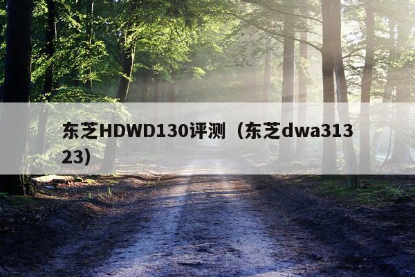 东芝HDWD130评测（东芝dwa31323）