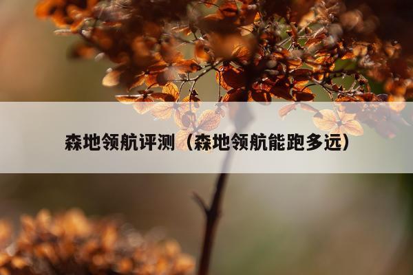 森地领航评测（森地领航能跑多远）