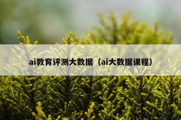 ai教育评测大数据（ai大数据课程）