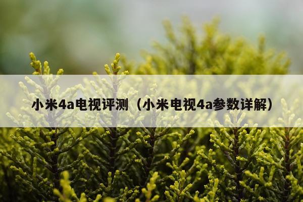 小米4a电视评测（小米电视4a参数详解）