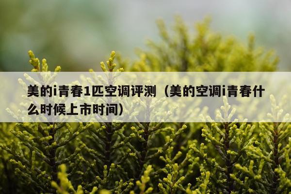 美的i青春1匹空调评测（美的空调i青春什么时候上市时间）