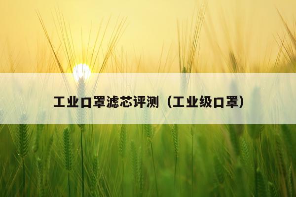工业口罩滤芯评测（工业级口罩）