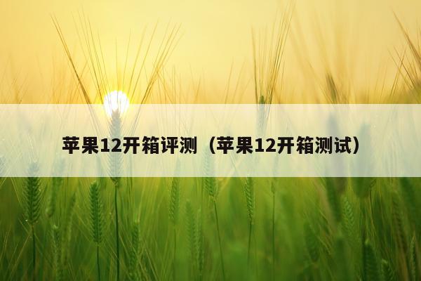 苹果12开箱评测（苹果12开箱测试）