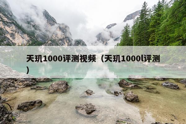 天玑1000评测视频（天玑1000l评测）