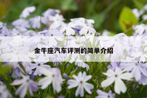 金牛座汽车评测的简单介绍