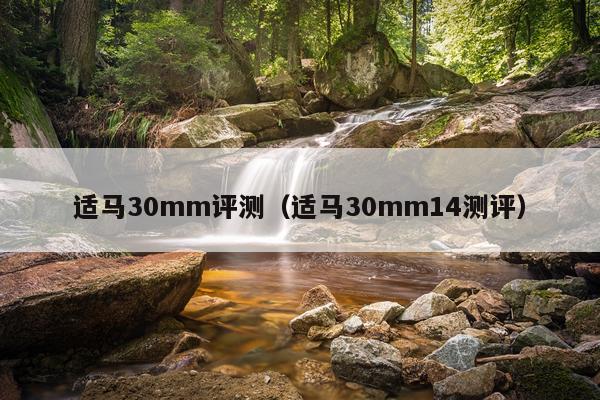 适马30mm评测（适马30mm14测评）