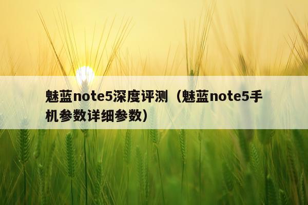 魅蓝note5深度评测（魅蓝note5手机参数详细参数）