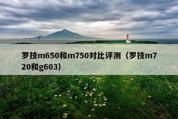 罗技m650和m750对比评测（罗技m720和g603）