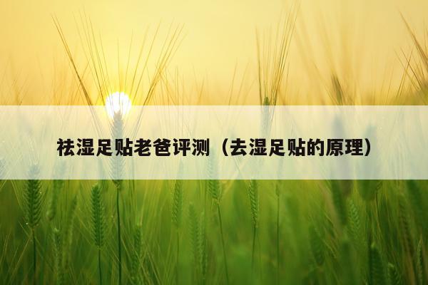 祛湿足贴老爸评测（去湿足贴的原理）