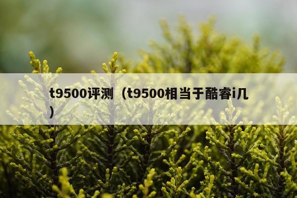 t9500评测（t9500相当于酷睿i几）