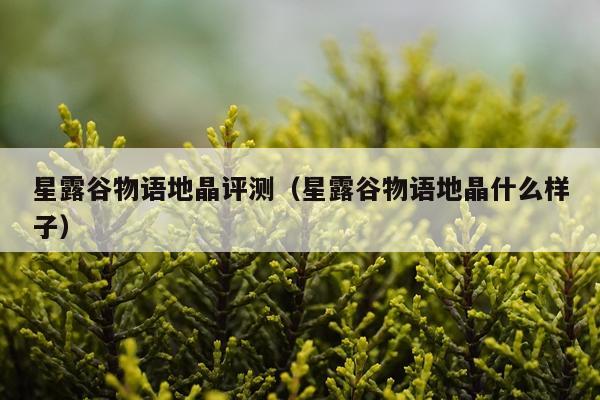 星露谷物语地晶评测（星露谷物语地晶什么样子）