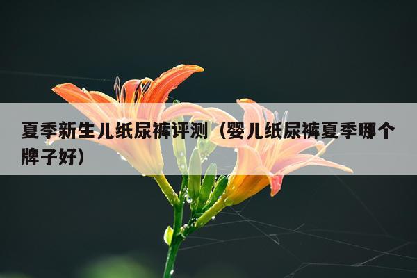 夏季新生儿纸尿裤评测（婴儿纸尿裤夏季哪个牌子好）