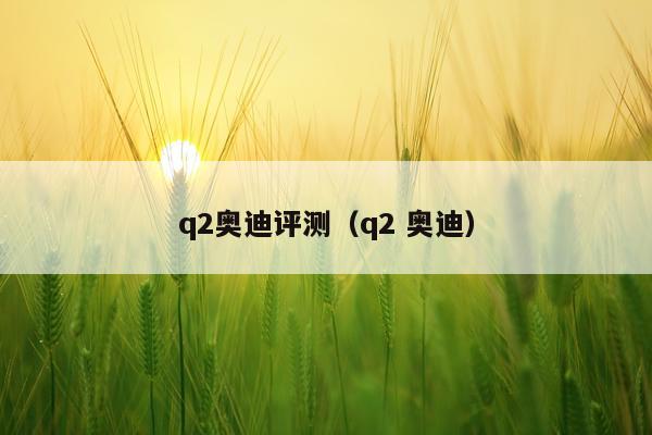 q2奥迪评测（q2 奥迪）