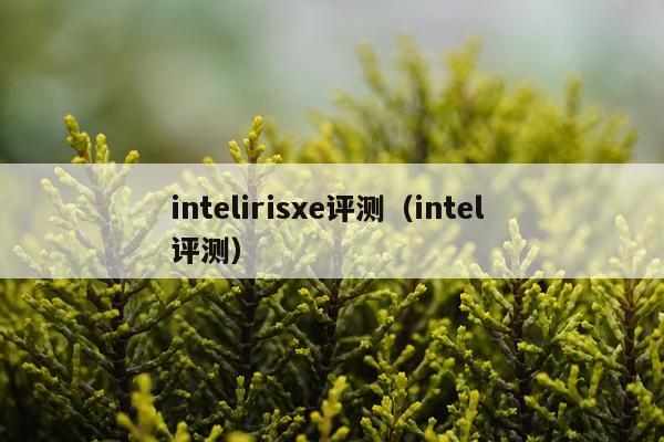 intelirisxe评测（intel 评测）