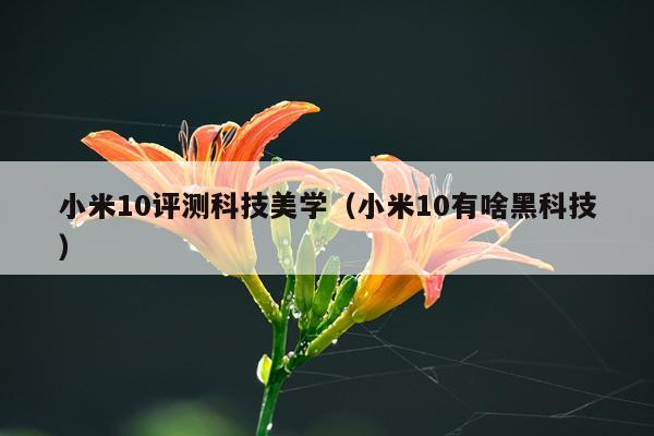 小米10评测科技美学（小米10有啥黑科技）