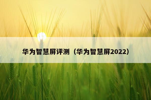 华为智慧屏评测（华为智慧屏2022）