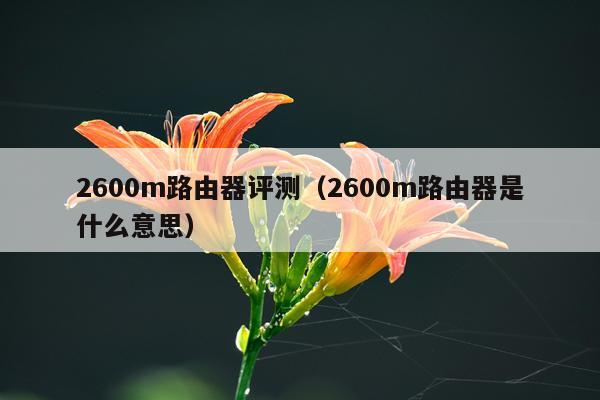 2600m路由器评测（2600m路由器是什么意思）