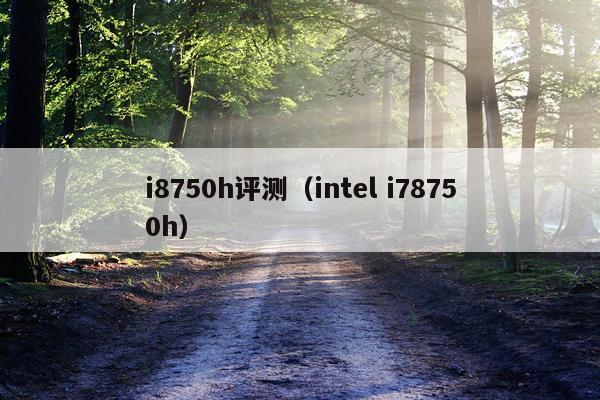 i8750h评测（intel i78750h）