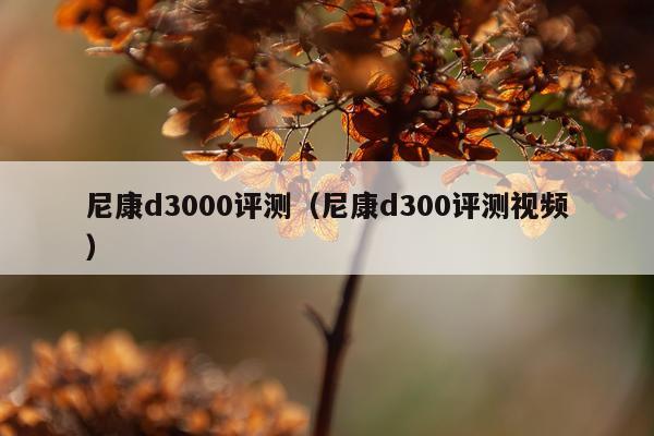 尼康d3000评测（尼康d300评测视频）