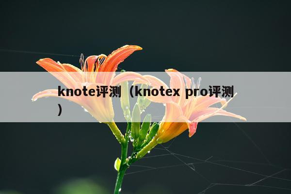 knote评测（knotex pro评测）