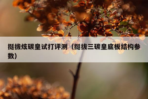 挺拔炫碳皇试打评测（挺拔三碳皇底板结构参数）