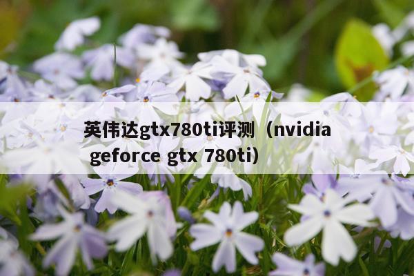 英伟达gtx780ti评测（nvidia geforce gtx 780ti）