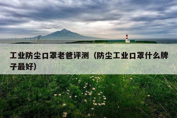 工业防尘口罩老爸评测（防尘工业口罩什么牌子最好）