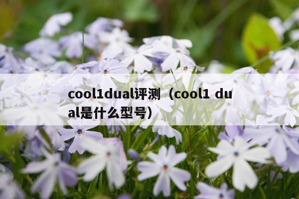 cool1dual评测（cool1 dual是什么型号）